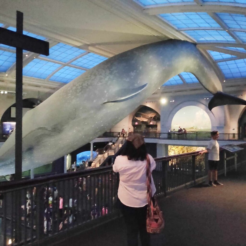 Metropolitan Museum Blue Whale